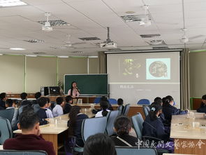 中國(guó)民協(xié)民間文藝小分隊(duì)赴臺(tái)文化交流總結(jié)